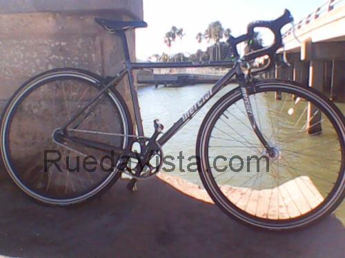 Mercier Kilo WT5 ficha tecnica 